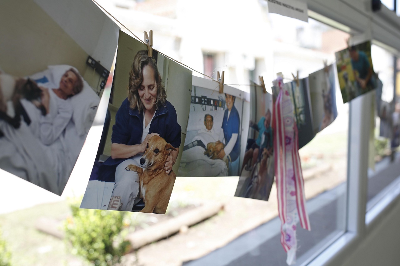 Ley de Cuidados Paliativos asegura a pacientes transitar su enfermedad "de la mejor manera posible"