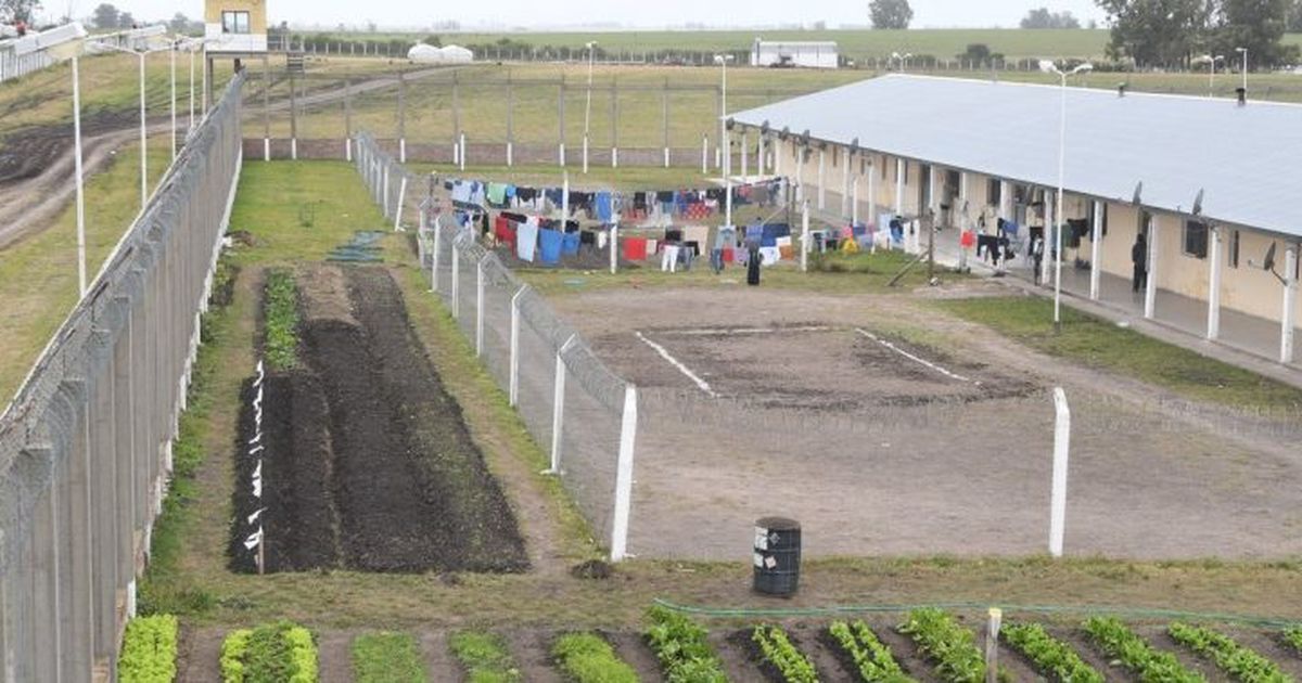 Prisión efectiva para un sujeto violento