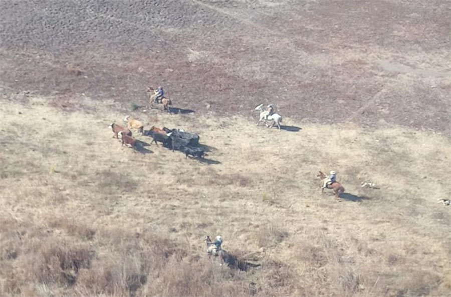Fotografían a sospechosos de haber iniciado varios incendios en el Delta