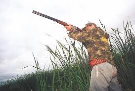 Admiten demanda contra permisos para cazar