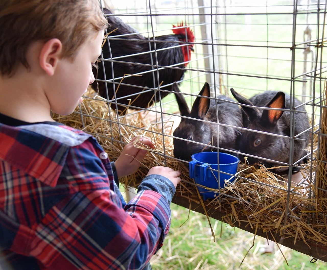 Aseguran que la Expo Rural será una fiesta para toda la familia