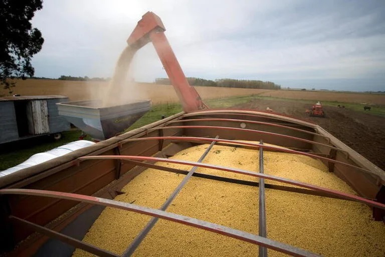 Los productores frenaron las ventas de soja a niveles mínimos desde 2009