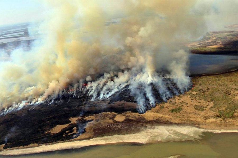 El juez Federal de Victoria recibió datos de los “dueños del fuego”