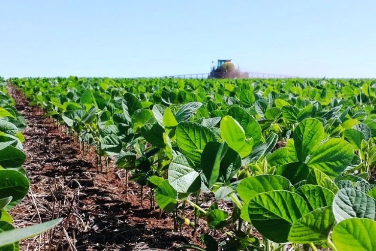 Más del 94% de los productores del campo considera excesiva la intervención estatal sobre el sector