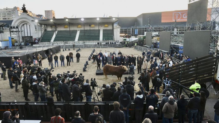 La Rural de Palermo se prepara el acto inaugural, mientras crece el clima de tensión con el Gobierno