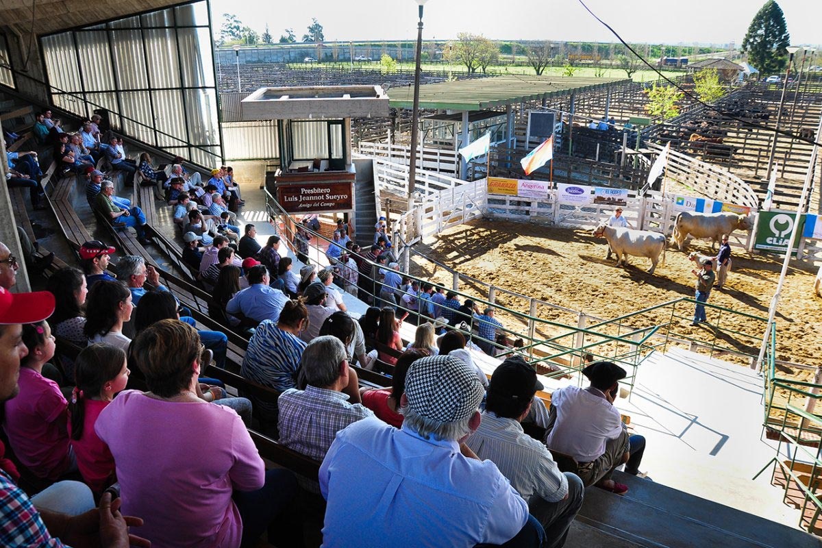 A solo un mes del retorno, todo es  expectativa en torno a la Expo Rural