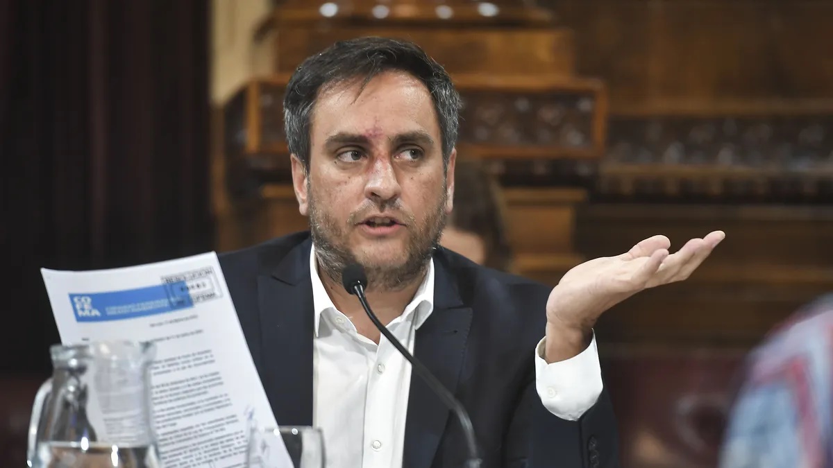 Cabandié: "Si la justicia no toma  medidas ejemplificadoras", seguirán  quemando campos en el Delta