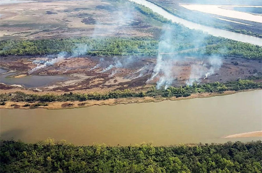 Incendios en el Delta del río Paraná:  las claves para entender el conflicto