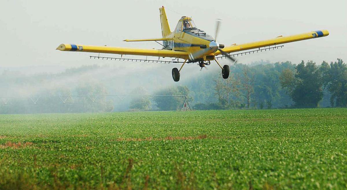 El glifosato y la proliferación del cáncer