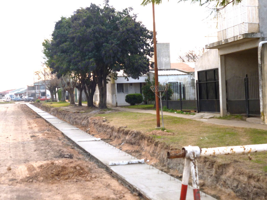  Riganti supervisó  obras de cordón  cuneta en Larroque