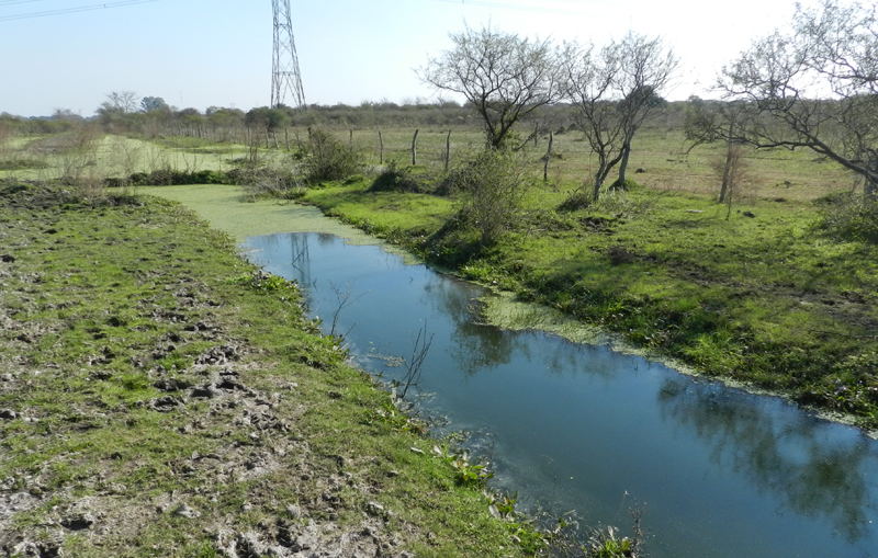 Pueblo General Belgrano: la laguna sanitaria sigue sin solución y se espera la decisión de la Justicia