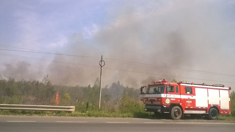 Incendio de banquina en la Ruta Nacional 12