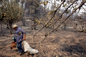 El fuego sigue devorando  y amenaza al gobierno