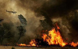 Los incendios no dan  tregua en California