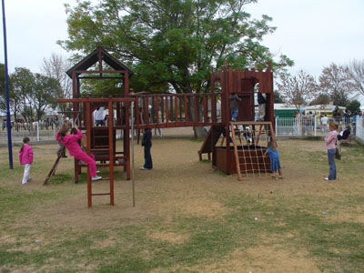 Impulsan una agresiva campaña de arbolado 