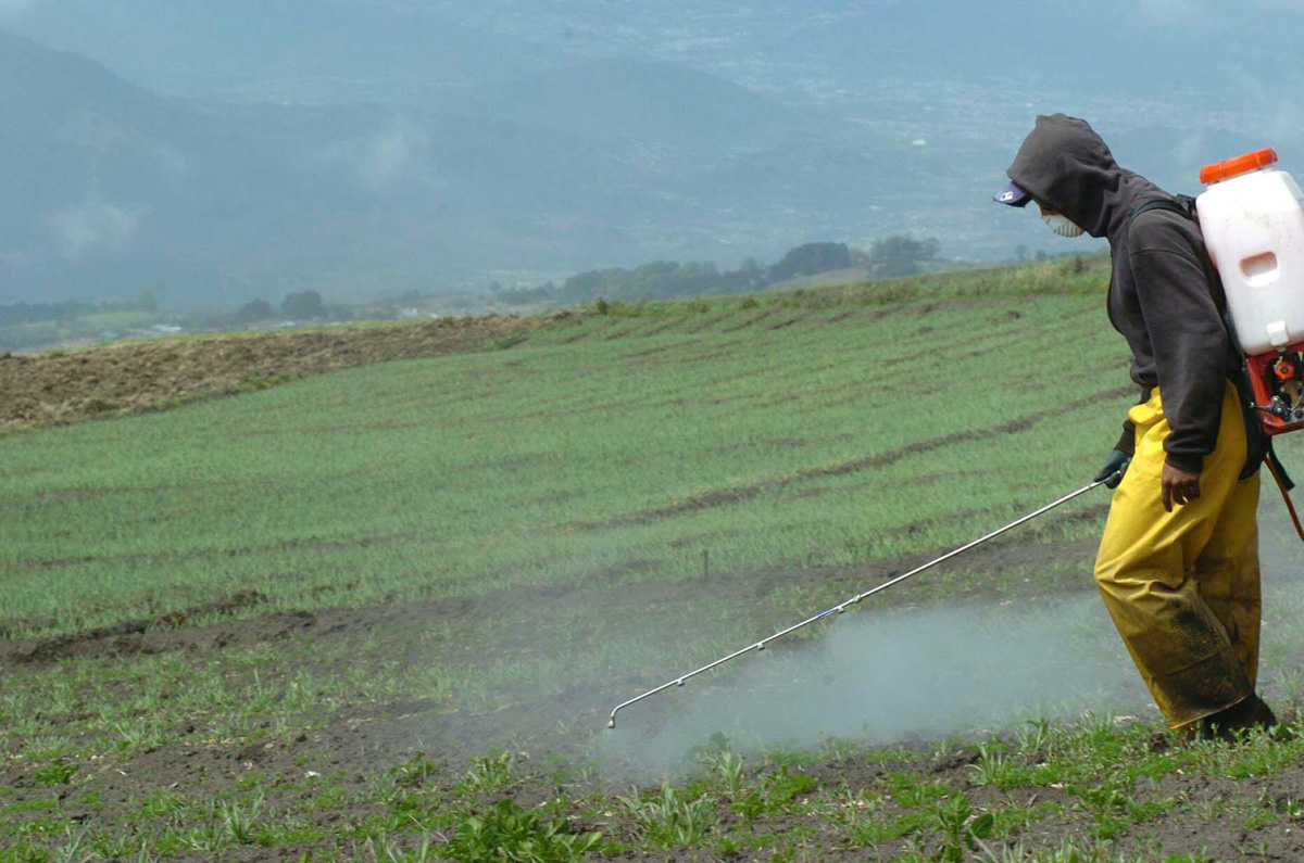 Se realizó la charla “Químicos tóxicos   de exposición diaria” en Urdinarrain