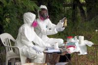 Monitorean la presencia del roedor transmisor  de Hantavirus en el Departamento Gualeguaychú