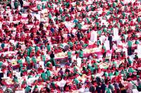 Festival del  "Kimchi"