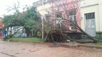 Explican por qué las tormentas causaron tantos daños en Entre Ríos