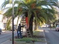 Larroque: Realizan trabajos y obras en la vía pública