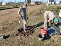 Aldea San Antonio: Realizan una nueva plantación de especies arbóreas 