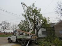 Culminó la poda de árboles en la vía pública de Larroque