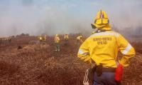 Incendios en el delta: Presentan a  la Justicia las acciones acordadas    