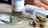 Analizan el proyecto de ley de cultivo de cannabis para uso medicinal