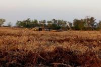 Con medios aéreos y guardias de brigadistas se monitorean los incendios en las islas del Delta