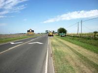 Proponen forestar las márgenes de las rutas
