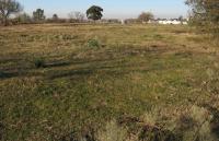 Larroque:  libran una Ordenanza que obliga   a limpiar los lugares baldíos