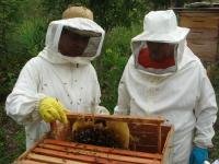 La reducción de retenciones a la exportación  favorece  a las economías regionales entrerrianas