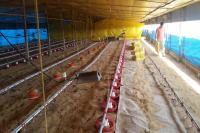 Productores valoraron el impacto positivo de la quita de retenciones a las economías regionales en Entre Ríos