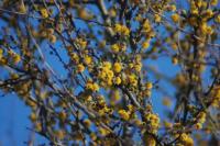 La provincia ratifica el compromiso con la educación ambiental y el cuidado del ambiente