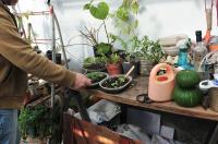 Pueblo Belgrano entrega semillas de la temporada otoño-invierno