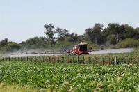 Fumigaciones: el Superior Tribunal invalidó una polémica sentencia