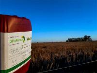 Agrotóxicos: la Sociedad de Pediatría  impulsa la historia clínica ambiental