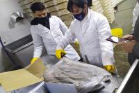 Continúan los secuestros y decomisos a quienes incumplen la Ley de Pesca