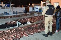 Golpe a la pesca furtiva en Ibicuy, incautan tres mil kilos de sábalos