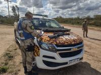 Entre Ríos expuso a nivel nacional su experiencia contra el delito rural