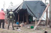 Hallaron en condiciones infrahumanas a trabajadores en un campo de eucaliptos