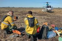 Los incendios siguen impunes en el Delta y encima no dan tregua