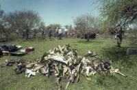 Tragedia de Austral: el fiscal pidió absolver a todos y familiares denuncian impunidad