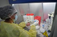 Informaron  tres casos de  variante Delta  en Paraná