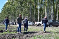 Impulsan el desarrollo forestal