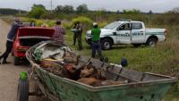 Gendarmería: una Patrulla Ambiental detectó que se habían faenado animales silvestres