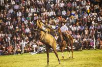 Confirmaron la fecha del Festival de Jineteada y Folklore de Diamante