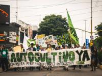 Reclaman la reglamentación de la Ley de Acceso al Cannabis Medicinal en Entre Ríos