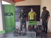 Tráfico ilegal de fauna: Ambiente  decomisó cardenales amarillos