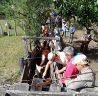 Abigeato: secuestraron 16 vacunos, armas, celulares y otros elementos